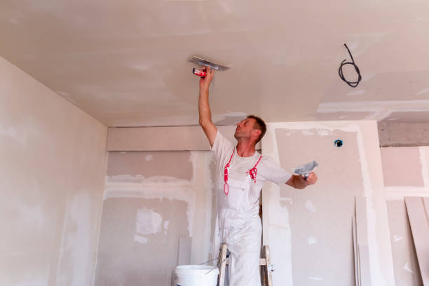  , HI Painting & Drywall Services Pros